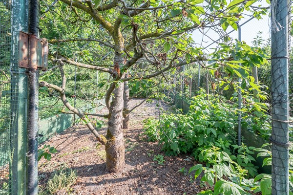 Medium property photo - Sint Maartenstraat 10, 4735 TD Zegge
